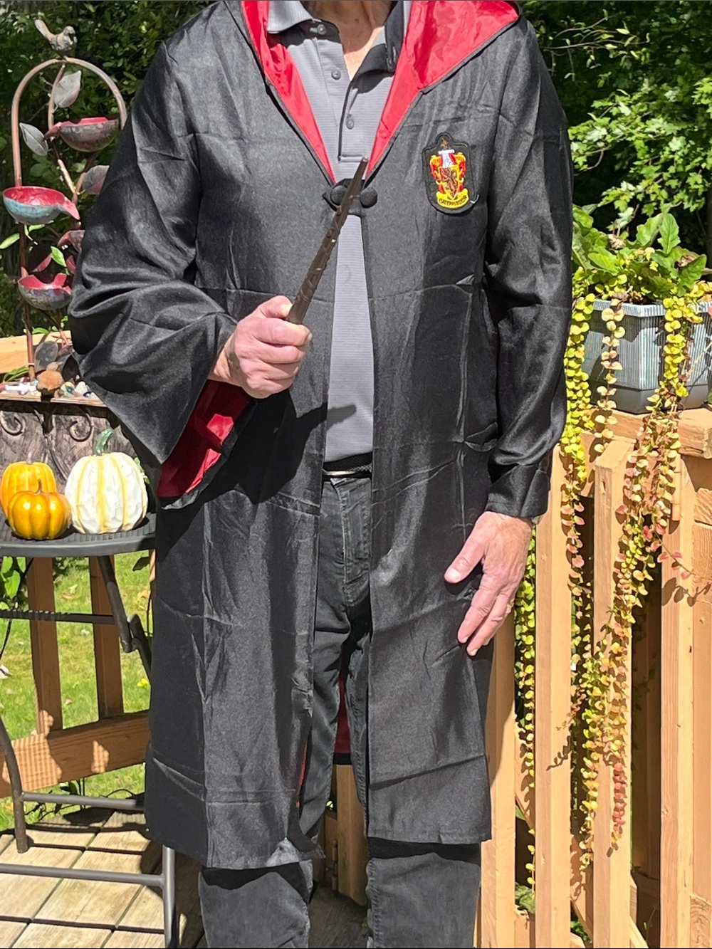 Hogwarts Gryffindor Wizard Robe Costume with Wand